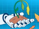 Ai está arruinando comunidades de plantas domésticas online