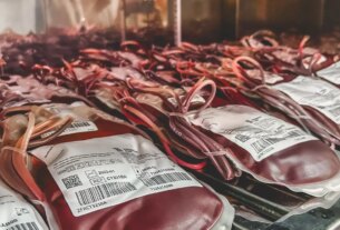 Dia Mundial do Doador de Sangue: uma única doação pode salvar 3 vidas