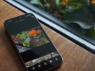 O App Indigo do Projeto da Adobe está me fazendo repensar a fotografia de telefone
