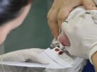 Saúde aumenta em 30% recursos para teste do pezinho