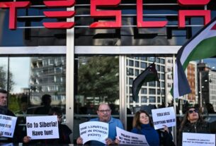 As verdadeiras lutas de Tesla apenas começaram