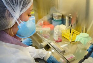 USP: pesquisa de vacina contra zika avança em testes com camundongos